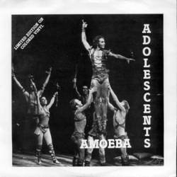The Adolescents : Amoeba